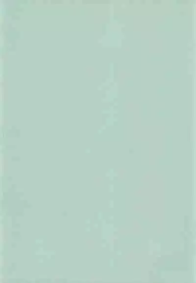 (C61) [Tenny Le Tai (R-Koga, EFINK)] Neko Maid A GO GO!