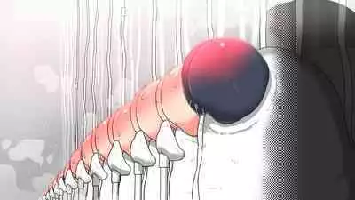 jidō ningyō meikyū tansaki | Maze exploration record of an automaton