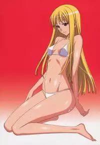 (C72) [SHIMAHOKKE (Kuroda Kazuya)] SHIMAHOKKE COLORS 2 (Chrno Crusade, Princess Resurrection, Sora no Iro, Mizu no Iro)