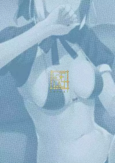 Chaldea Soap SSS-kyuu Gohoushi Maid