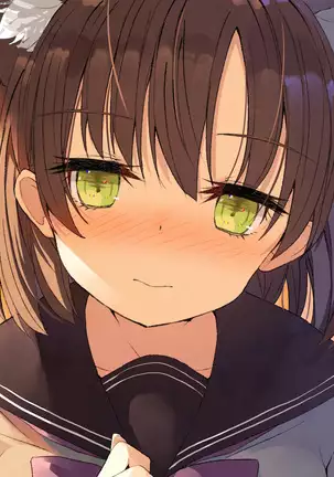 Ore no Kanojo ni wa Nekomimi ga Haeteiru