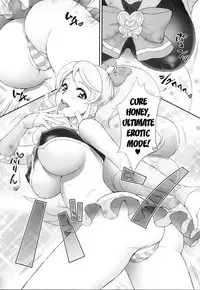 (C87) [U.R.C (Momoya Show-Neko)] Honey ni Omakase | Leave it to Honey (HappinessCharge Precure!) [English] {doujin-moe.us}