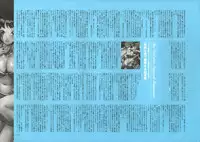 [Nishieda] Dendrobium (Decensored)