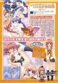 COMIC Megastore 2004-08