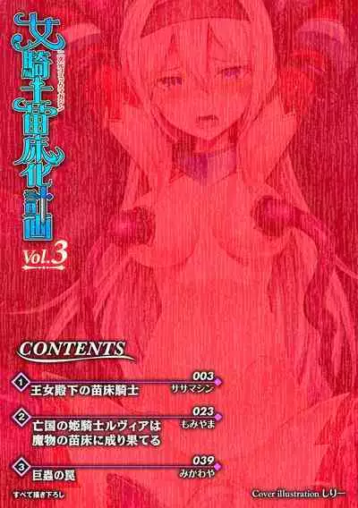 2D Comic Magazine Onna Kishi Naedokoka Keikaku Vol. 3