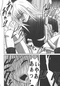 [Crimson (Carmine)] Kyouiku Soushuuhen (Black Cat)