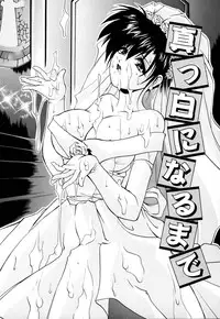 [Branshea] Shiboritate Chokusou