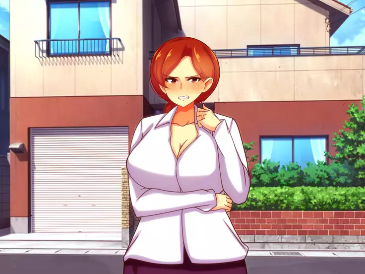 Sekkyou Zuki na Kinjo no Hitozuma-tachi o SeFri ni Shite Yatta Ken