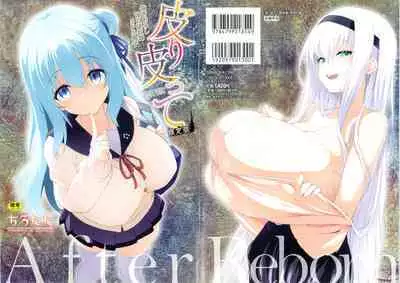 [Tirotata] After Reborn (Kawari Kawatte Limited Edition SP Book) (low quality scans)