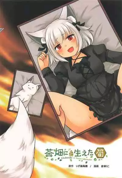 Ippan Heishi Akira ga Shitennou Tamamo wo Tsukaima ni Dekita Wake