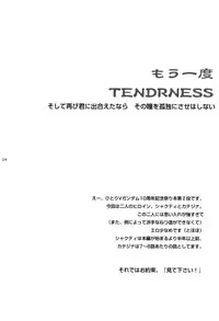 (C64) [Koutatsu Dennou Koushi (Gunblaster Itou)] Mou Ichido Tenderness (Mobile Suit Victory Gundam)