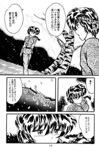 (C36) [Silicon Valley] Man in the Mirror (Ranma 1/2)