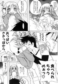 [Akazawa RED] Kupa Resort