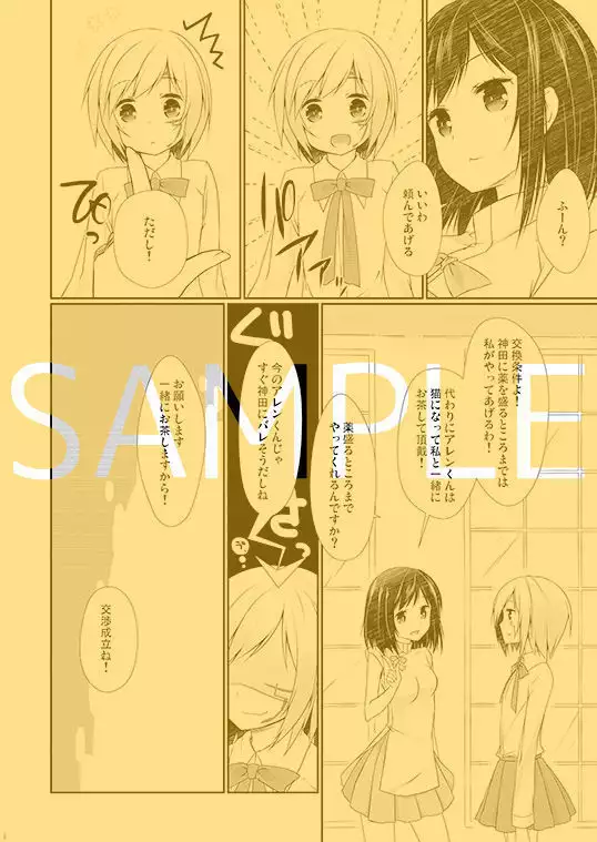 C 84 shinkan sanpuru sample