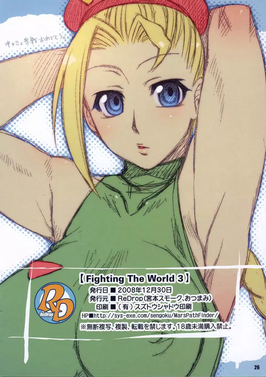 Fighting The World 3