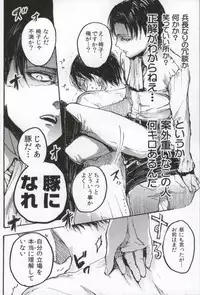 (C86) [Onjire (Tamy)] ONGRE2013 (Shingeki no Kyojin)