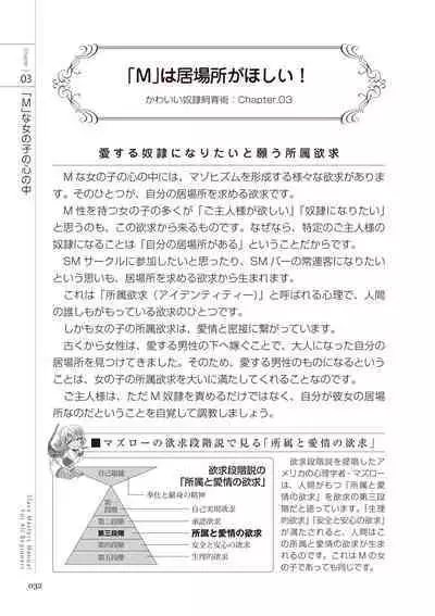 Zero kara Hajimeru SM Manual Kawaii Dorei Shiikujutsu