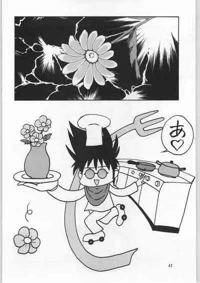 (C51) [Yaen (Suzuki Shinobu) YAEN FINAL S.SUZUKI WORKS (Various)