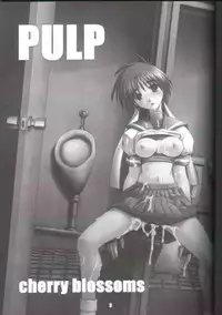 (C62) [prettydolls (Araki Hiroaki)] PULP cherry blossoms (Street Fighter)