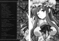 (C79) [Alemateorema (Kobayashi Youkoh)] GARIGARI 30 (Touhou Project) [English] [desudesu]