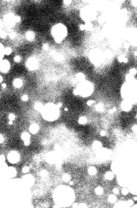 (Hekigai Chousa Haku) [7SEC (Nanako)] by-end (Shingeki no Kyojin) [English] [Baka Dumb Aho Scans]