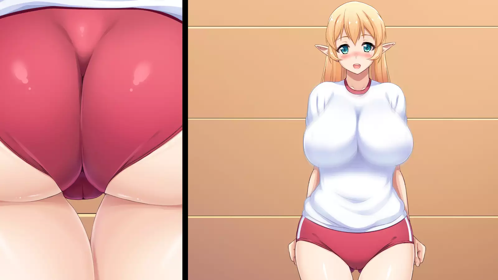 Junshin na Elf no Ryuugakusei ni Anal Choukyo shiyo！