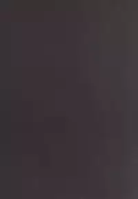 (SC2015 Summer) [Sekine (Sekine Hajime)] MUSAPAKO (SHIROBAKO) [Chinese] [最愛路易絲澪漢化組]