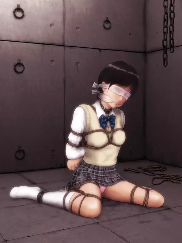 H.S.C. Illustration Collection Ex.4