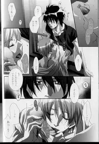 (C68) [Takahashi Kanbanten (Tajima Minato)] Kago no Tori 3 (Tenkuu No Escaflowne)