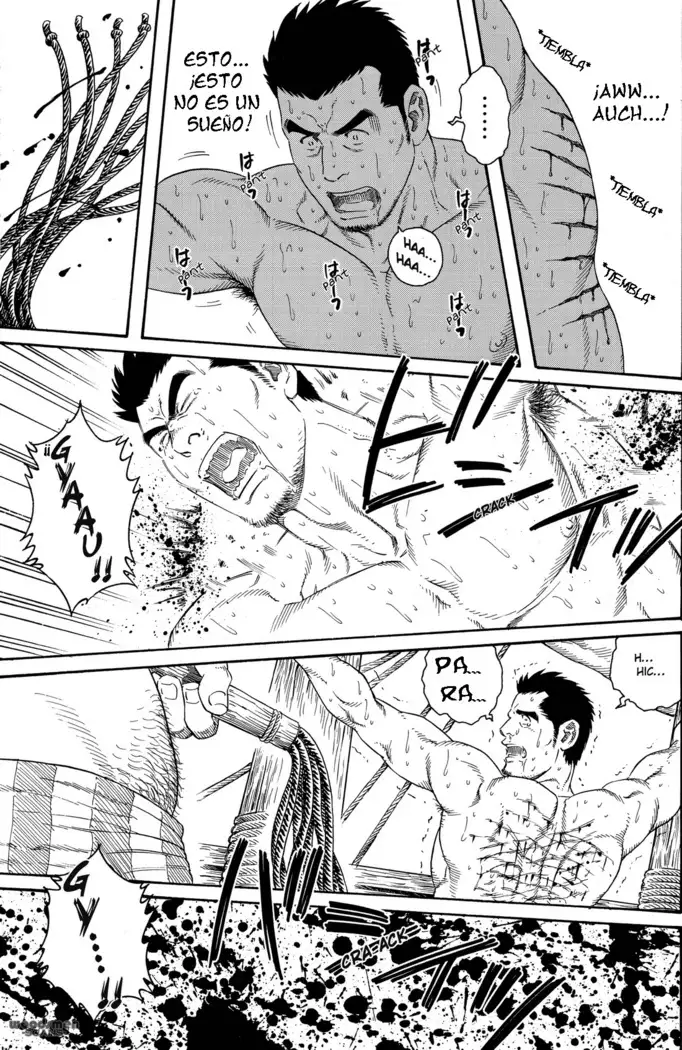 El holandés volador