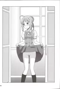 (C84) [PNO Group (Hase Yuu, Hikawa Yuuki, Yamamoto Ryuusuke)] Carni☆Phan tic Factory 4 (Fate/stay night, Fate/zero)