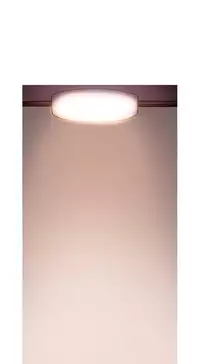 [PINKO] Scandal of the Witch Ch.1-23 (English) (Ongoing)