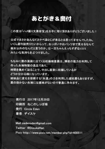 (C93) [Circle Eden (Diisuke)] Hamedori Bunka Chinpou (Touhou Project) [Chinese] [不可视汉化]