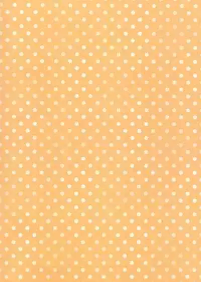 (C97) [Tamakakeya (Tamakake)] Imouto to Hajimemashita | My Little Sister and I Had Our First Time [English]