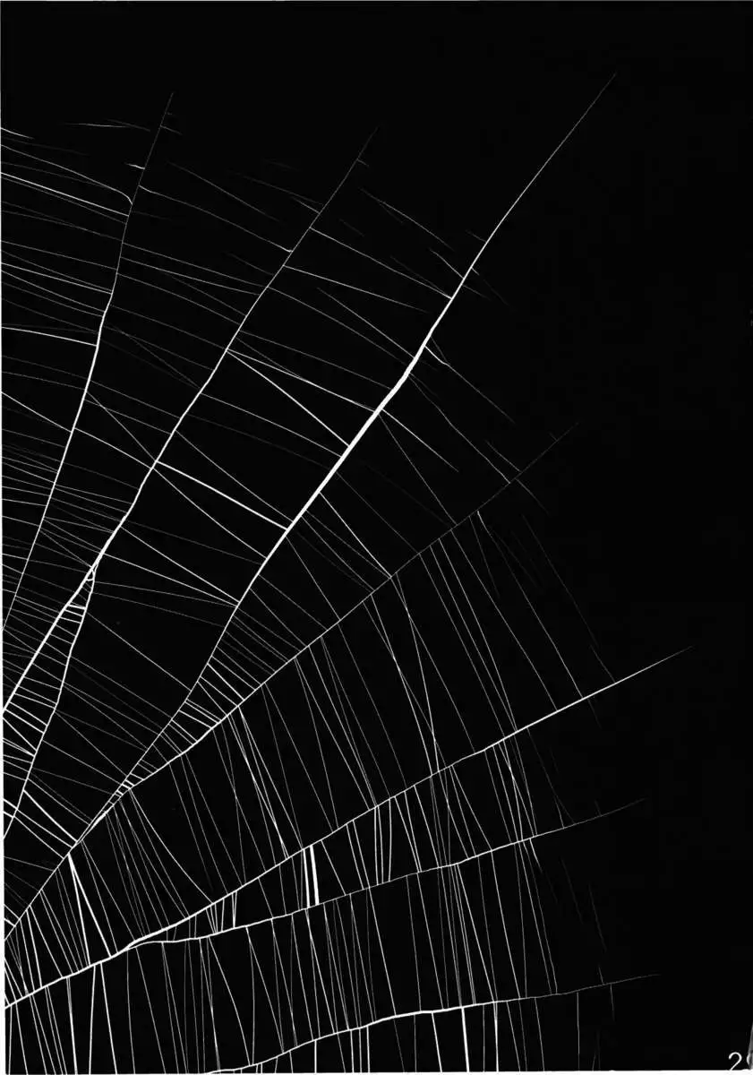 A Disease Woman's Story