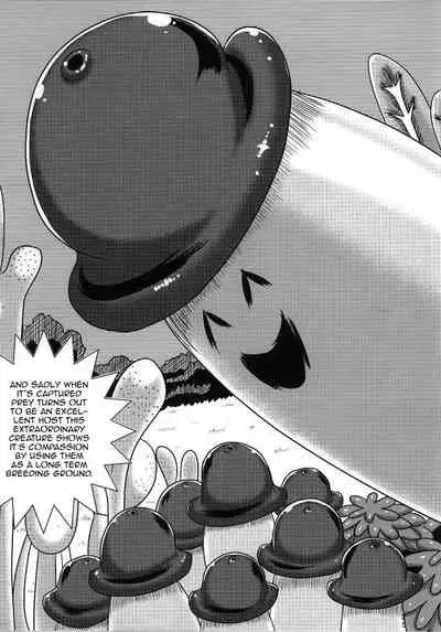 (C86) [Akuochisukii Kyoushitsu (Akuochisukii Sensei)] Machi Gari! | Hunting Machi! (HUNTER X HUNTER) [English] {Doujins.com}