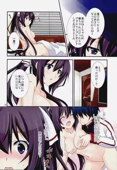 Burst Up! Infinite Stratos FAN BOOK