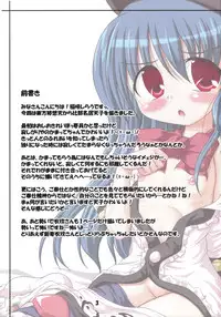 (C74) [Schwester (Shirau Inazaki)] Kamatte Hoshii no!! (Touhou Project)