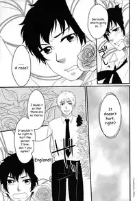 [nmtk (Toya Mayu)] El cautivo de la rosa (Hetalia: Axis Powers) [English]