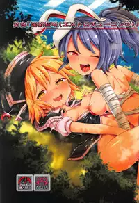 (C92) [Unmei no Ikasumi (Harusame)] Kougou "Estro Tuning" (Touhou Project)