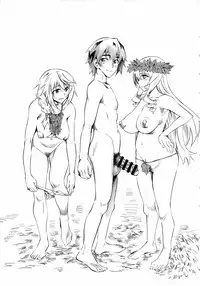 (C85) [Hi-per Pinch (clover)] N (IS <Infinite Stratos>)