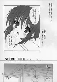 (Shotaket 11) [Sorairo March (Narusawa Sora)] SECRET FILE (Naisho no Yorimichi)