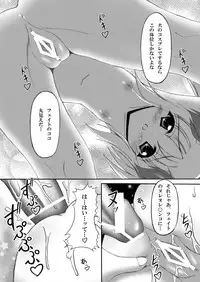 (C80) [chronicle (YUKITO)] FATE COLLECTION II (Mahou Shoujo Lyrical Nanoha)