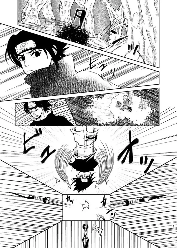 Sleeping Cherry Blossom