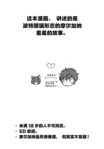 Tokubetsu Kyuukou Mementos