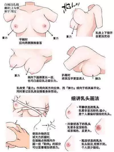 Oppai ni Tsuite | 教你如何勾画乳房