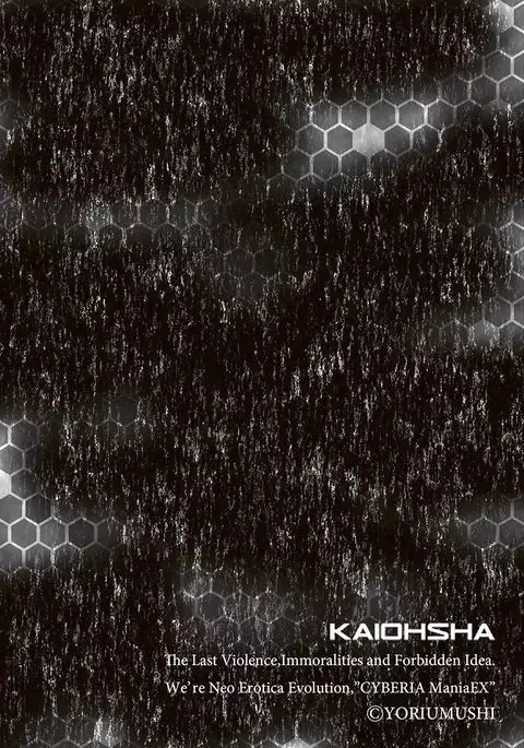 Cyberia Maniacs Chikan Ryoujoku Paradise Vol.2