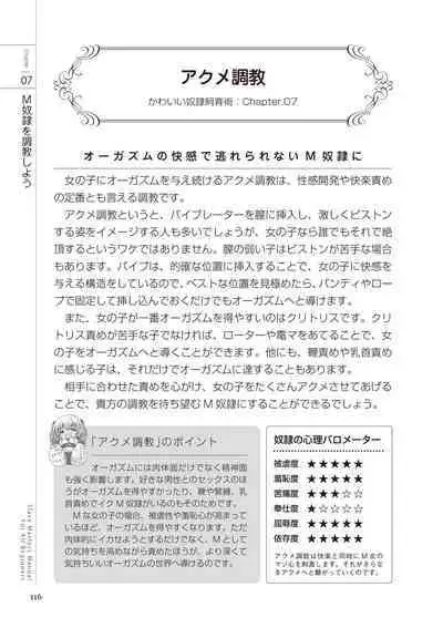 Zero kara Hajimeru SM Manual Kawaii Dorei Shiikujutsu