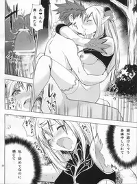 (COMIC1☆6) [Donzoko Kashiwa Meshi (Mask the J)] Altina Weapon (Shining Blade)