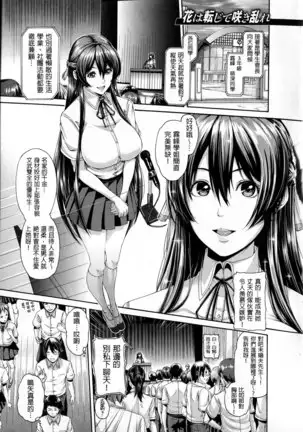 shisukeaiirasutokado